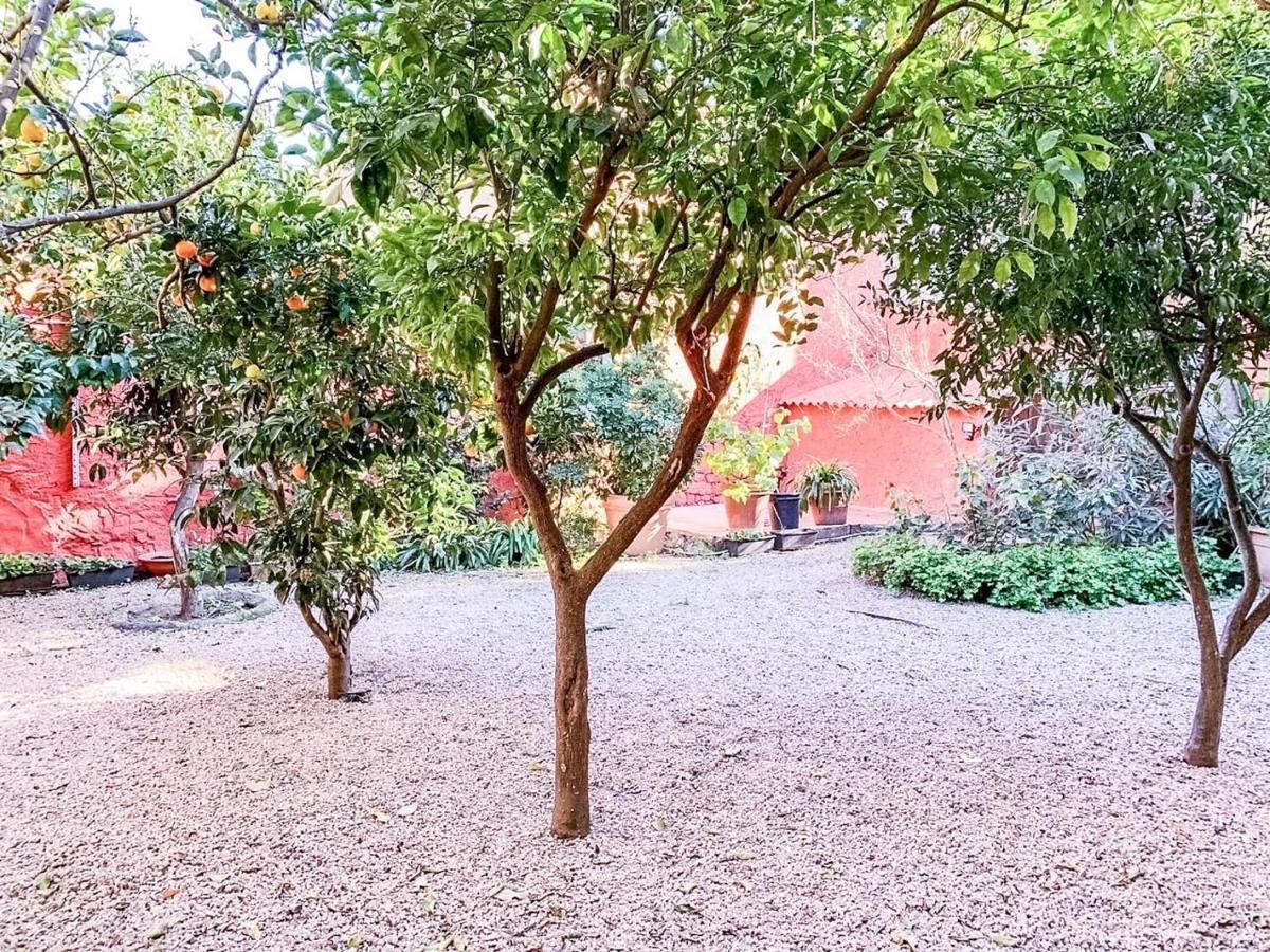 Апартаменты Liguria Garden Ольбия Экстерьер фото